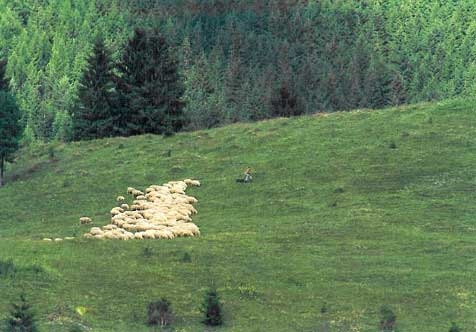 Nízké Tatry