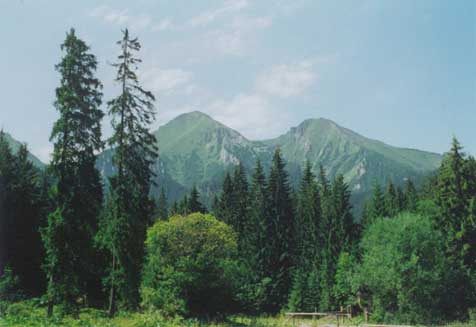 Belánské Tatry