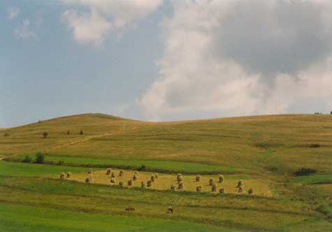 Belánské Tatry